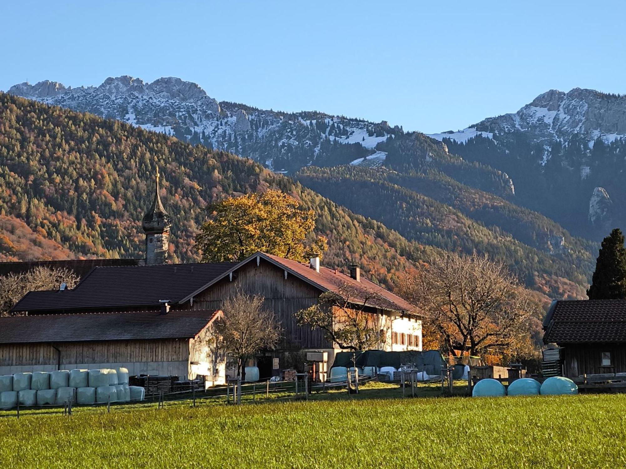 아샤우임히엠가우 Bauernhof Geigerhof 빌라 외부 사진